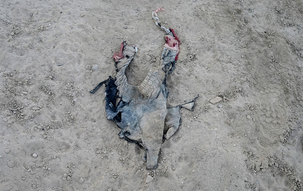 116 personnes exécutées par l&rsquo;EI