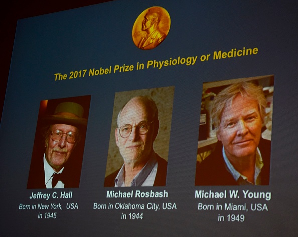 Trois chercheurs américains se voient décerner le Nobel de médecine