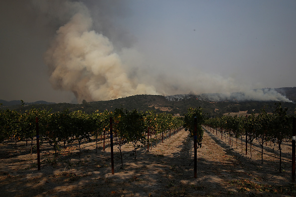 Drame en Californie : maisons et vignobles en flammes