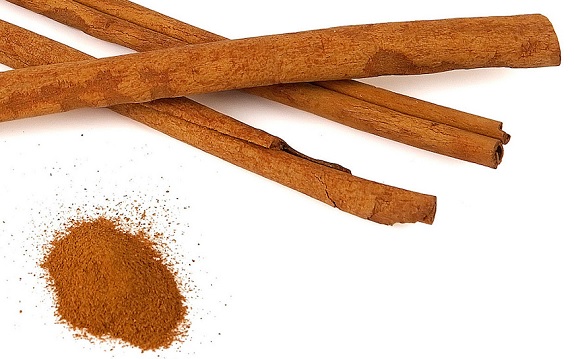 Quand la nature devient notre meilleure alliée