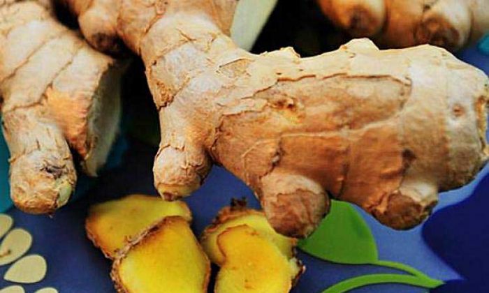 Cinq tisanes aux multiples vertus