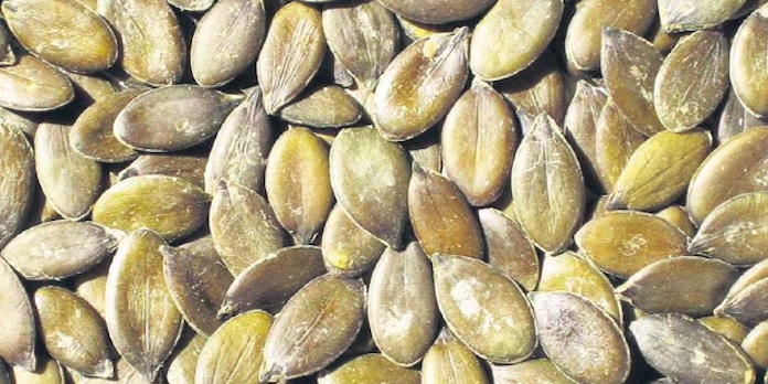 L’huile de graines de courge contre la perte de cheveux chez les hommes