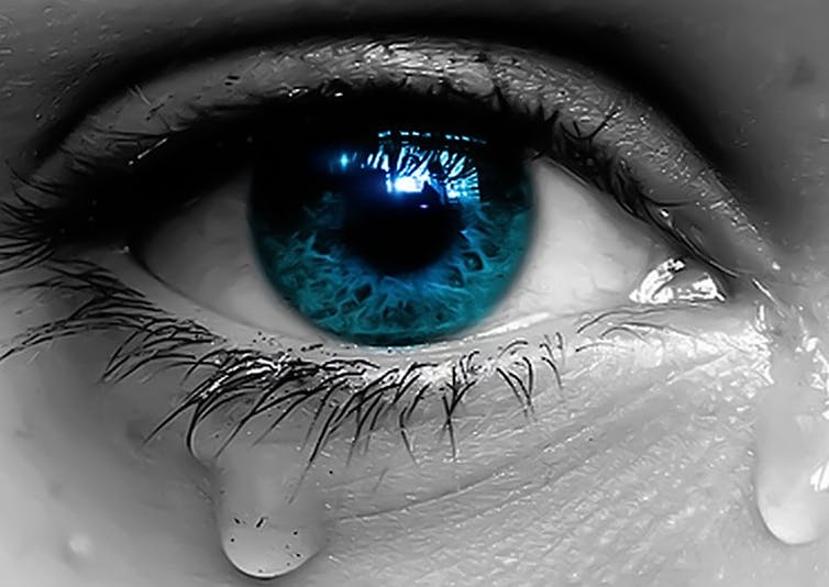 Mais pourquoi les oignons sont-ils si méchants?