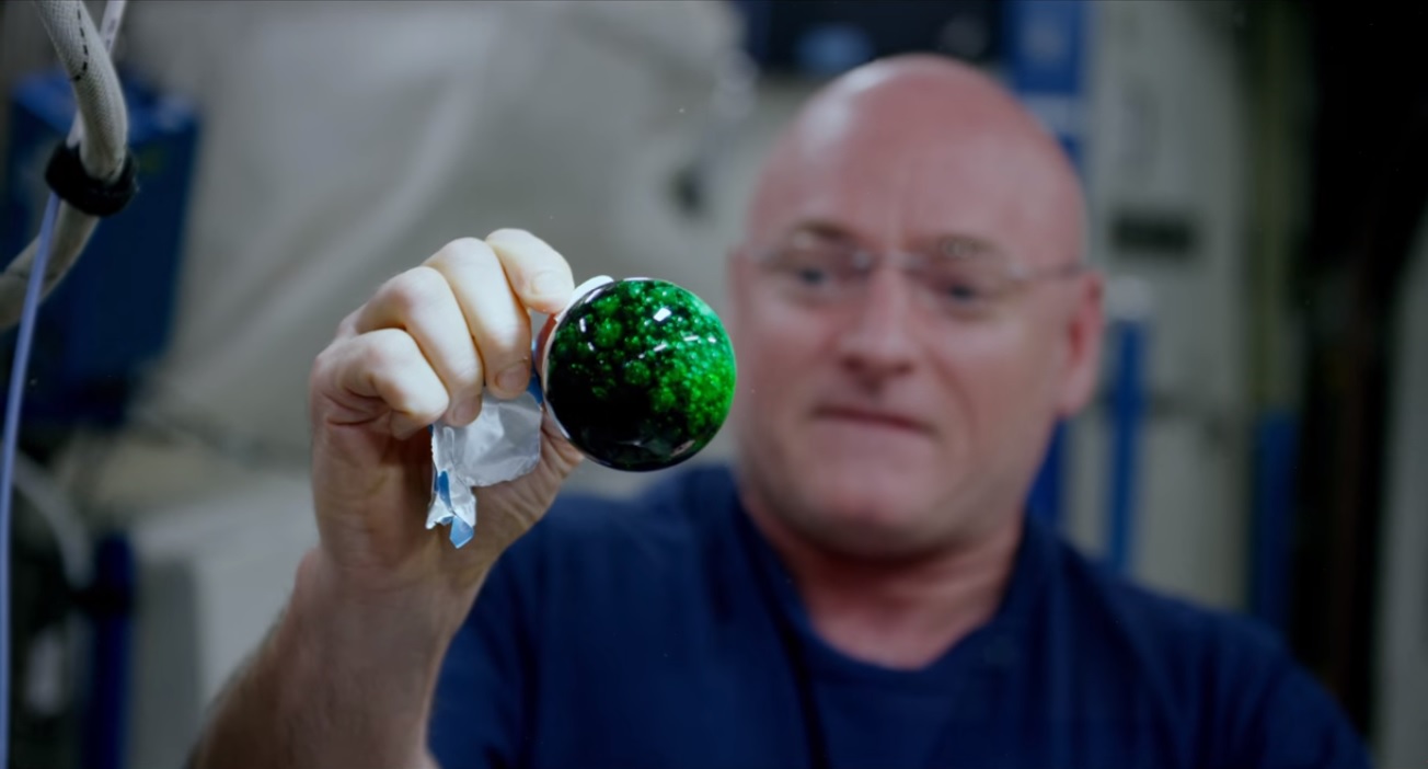 Le long séjour de Scott Kelly dans l&rsquo;espace a eu des répercussions sur l&rsquo;expression de ses gènes