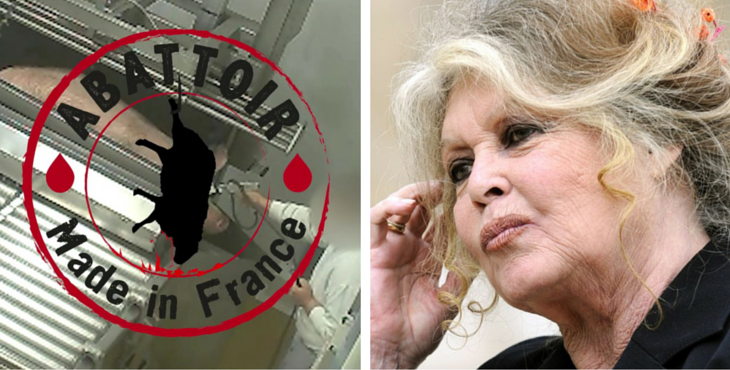 Vidéosurveillance dans les abattoirs : Bardot écrit à Macron