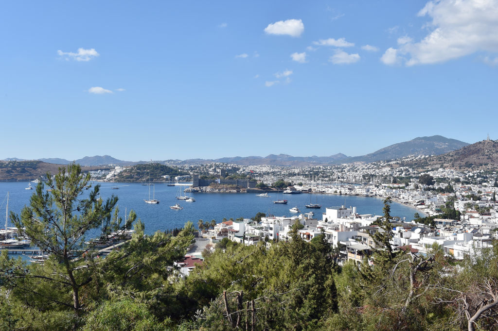 Turquie: une chanteuse et un homme d&rsquo;affaires tués dans une boîte de nuit