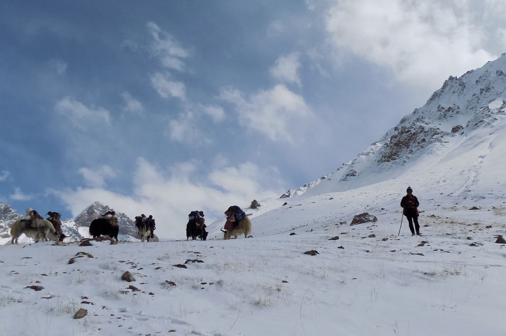 Pakistan: un alpiniste autrichien tué par une avalanche