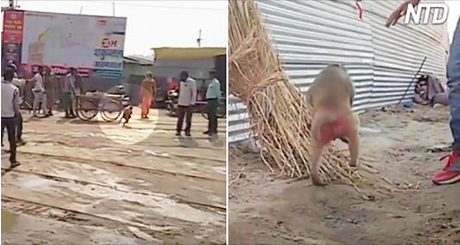 Des badauds filment un animal errant abandonné – mais alors, un singe débarque et fait l&rsquo;impensable