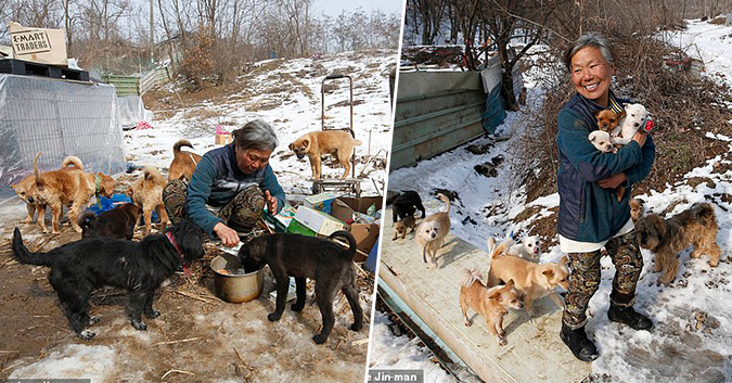 Elle consacre sa vie à sauver plus de 200 chiens devant être mangés – une âme bienveillante