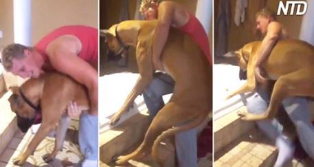 Voici des exemples où la queue de votre chien qui ne remuait pas… signifiait vraiment qu&rsquo;il ne voulait pas