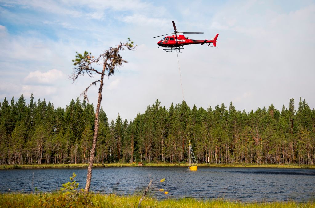 Or vert contre biodiversité: à l&rsquo;heure des feux, la forêt suédoise fait débat