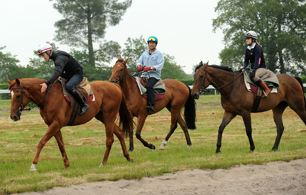 Equitation/complet – L&rsquo;élite mondiale au haras de Jardy