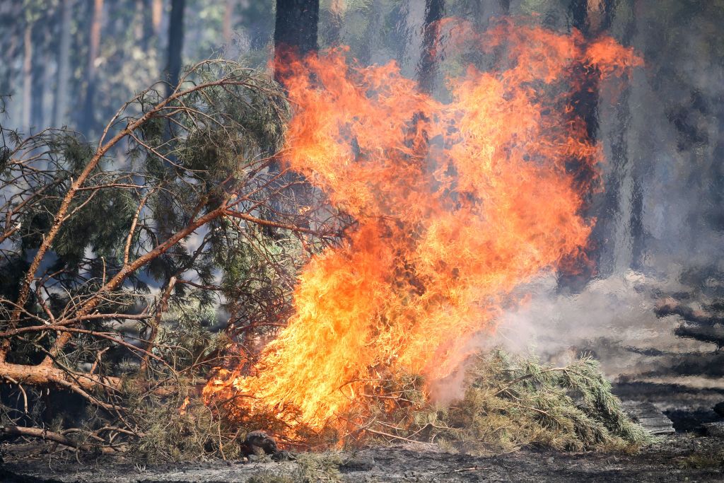 La vague de chaleur en Europe provoque sécheresse et incendies