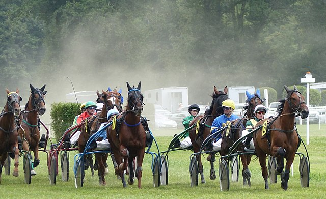 Etats-Unis : première course de trotteurs nés en France sur l&rsquo;hippodrome de Yonkers