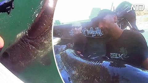 Les pêcheurs sentent une grande résistance sur la ligne – lorsqu&rsquo;ils voient ce gigantesque « monstre », ils commencent à crier