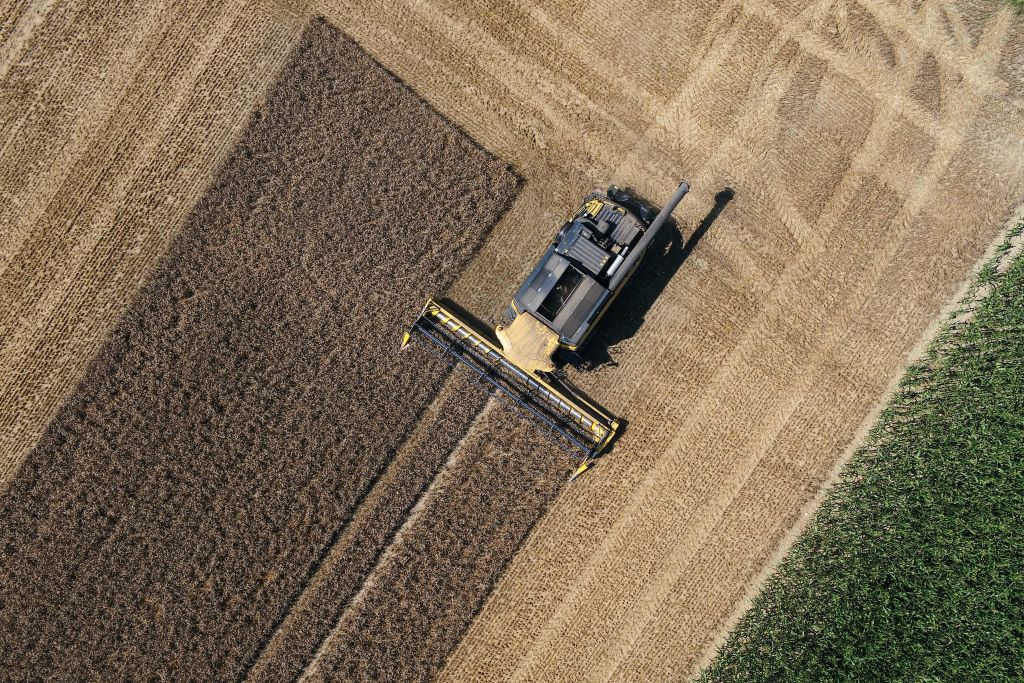 Flambée du blé et des céréales : pas de panique pour la sécurité alimentaire, selon les experts