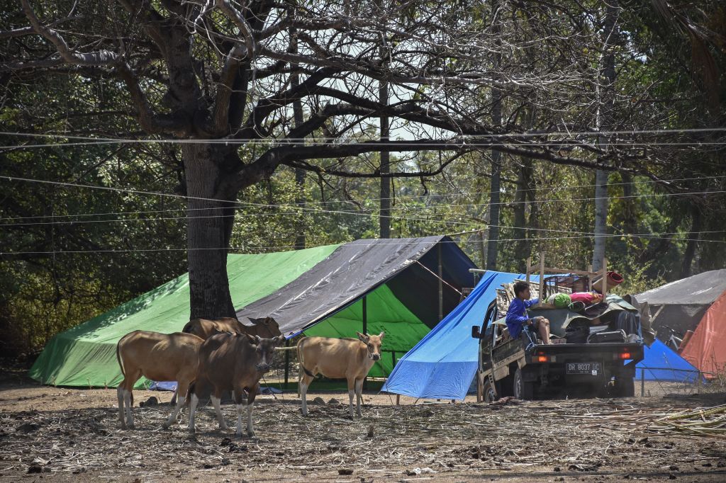 Séismes en Indonésie : les secours s&rsquo;activent auprès des survivants
