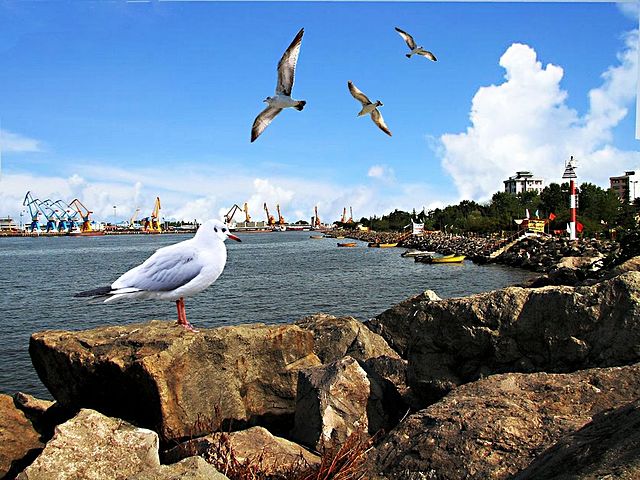 Convention sur le statut de la mer Caspienne signée par ses cinq pays riverains