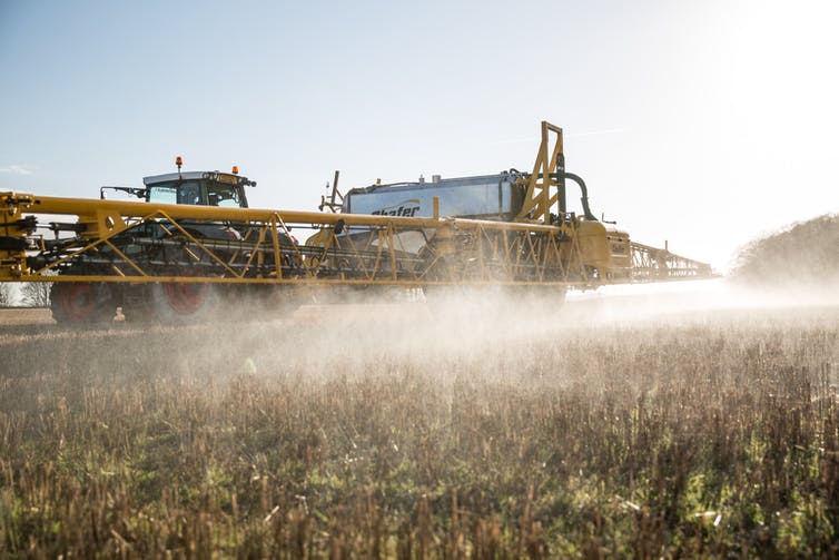Impacts du glyphosate sur la santé et l’environnement, ce que dit la science