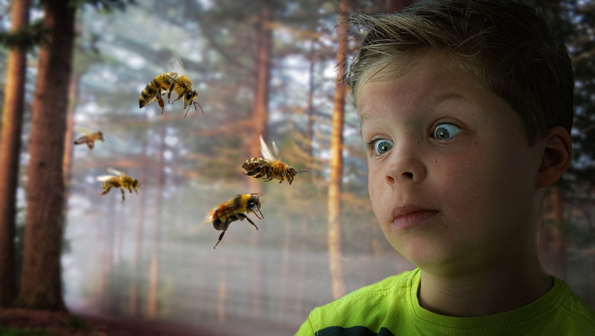 Comment réagir en cas d&rsquo;attaque de guêpes ? Voici ce qu&rsquo;il faut faire – et ne pas faire