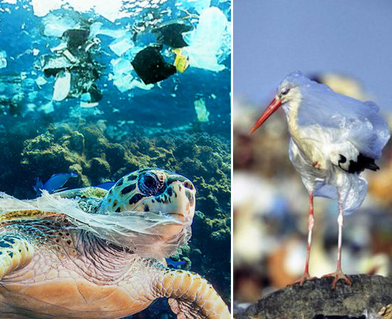 Qu’est-ce au juste le plastique, et comment nettoie-t-on tout ça ?