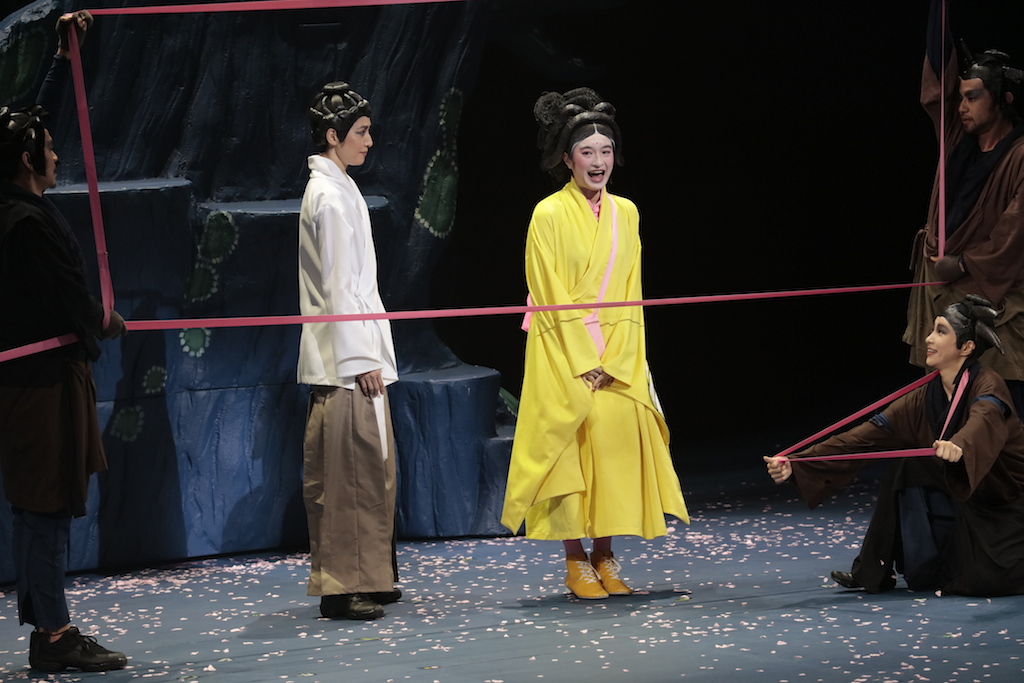 Sous les fleurs de la forêt de cerisiers