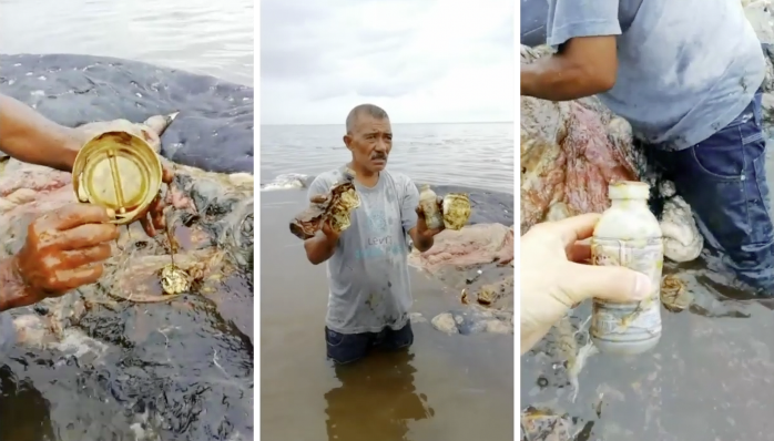 Un cachalot échoué trouvé en Indonésie – il avait 6 kg de plastique dans l&rsquo;estomac