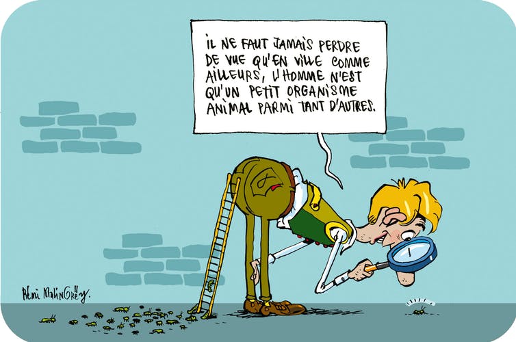 Il y a de la vie dans nos sols urbains