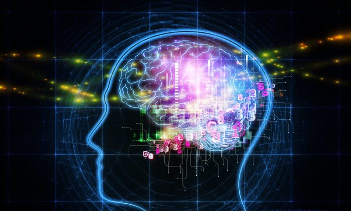 Des chercheurs avancent que le cerveau fonctionne encore après que le cœur cesse de battre : les patients seraient conscients qu&rsquo;ils sont morts