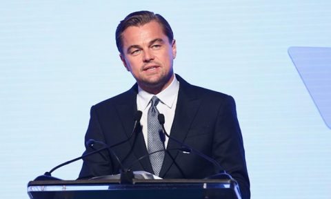 Depuis 20 ans, la fondation Leonardo DiCaprio a récolté 100 millions de dollars (87 millions d&rsquo;euros) pour lutter contre le changement climatique