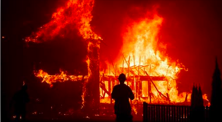 Un chien survivant d&rsquo;un des incendies en Californie attendait encore à la maison un mois plus tard