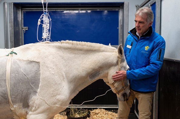France: une clinique 5 étoiles pour chevaux aux portes de Lyon