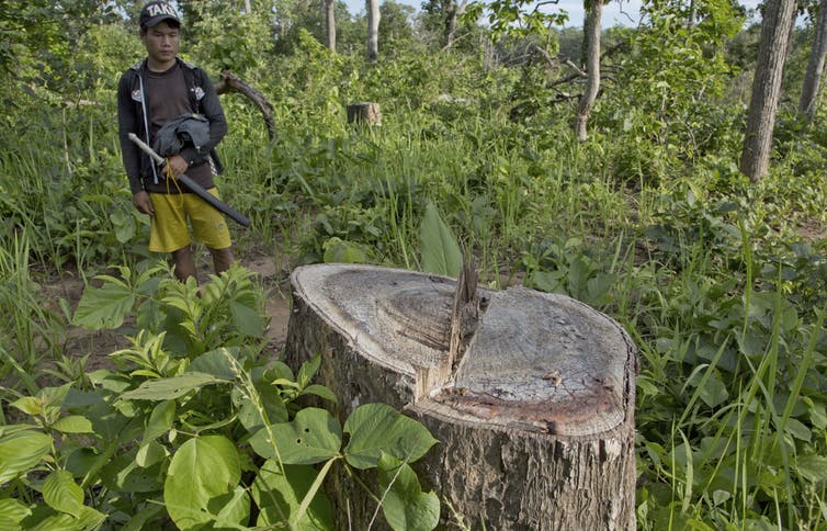 Censure, menaces et stress post-traumatique : le journalisme environnemental sous haute tension