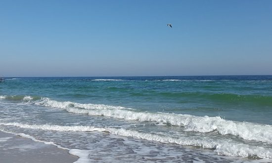 L&rsquo;épave d&rsquo;un ancien navire grec trouvé dans la mer Noire est «le plus vieux des navires du monde restés intacts»