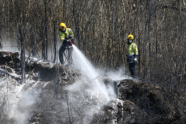 Nouvelle-Zélande: Un important feu de forêt risque de durer des semaines