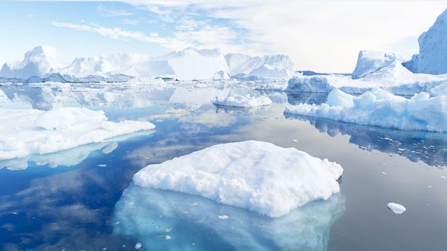 La découverte d&rsquo;un requin du Groenland âgé de 400 ans bat le record mondial