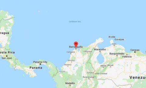 Un assistant vétérinaire assomme un shih tzu et procède à une réanimation cardio-respiratoire pour le faire revivre