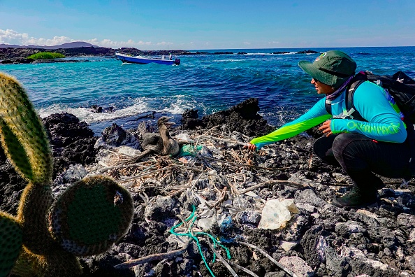 Un monstre au paradis, le plastique menace toute vie aux Galapagos