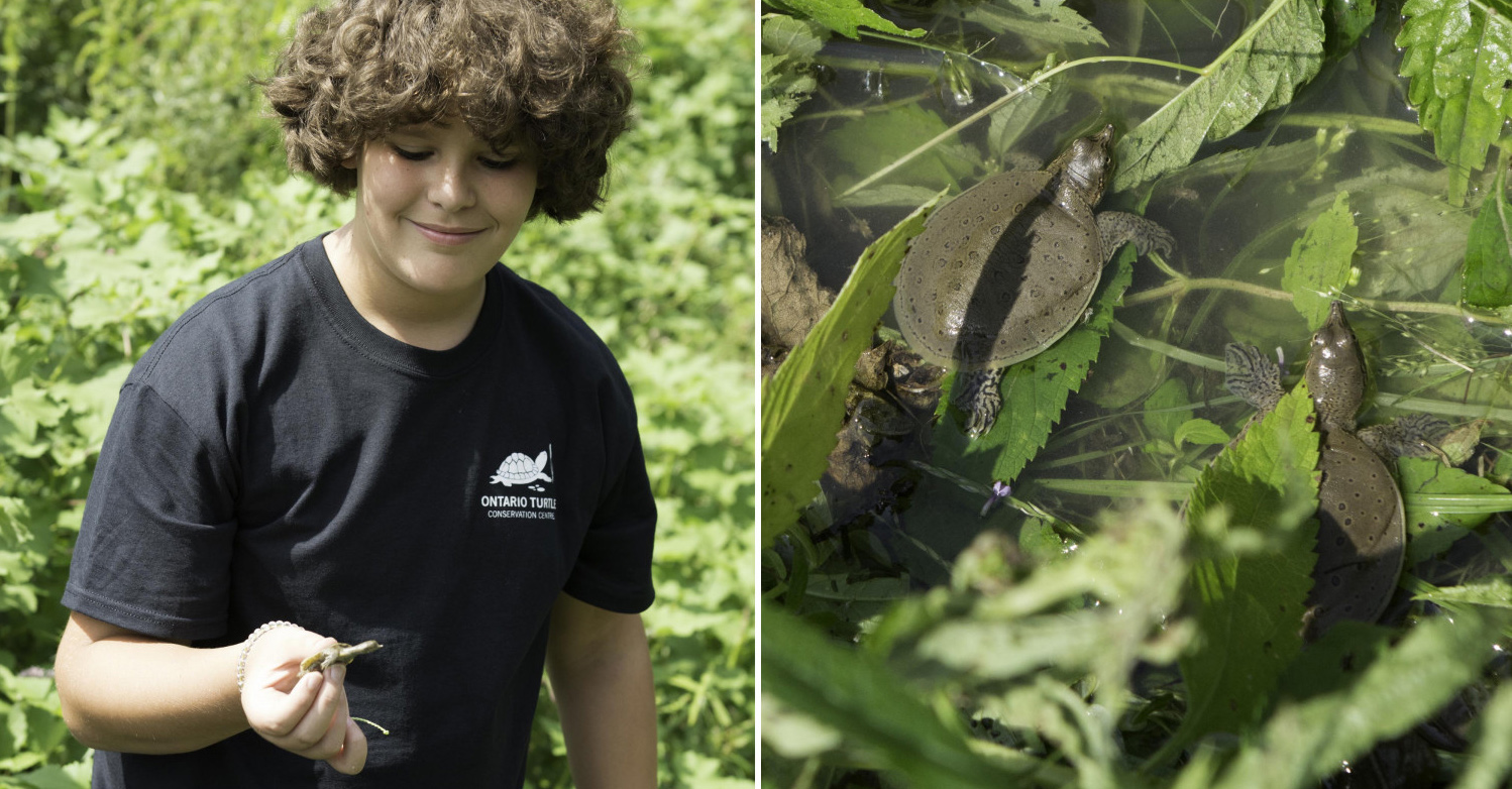 À 12 ans, il parcourt 3000 km pour sauver les tortues menacées