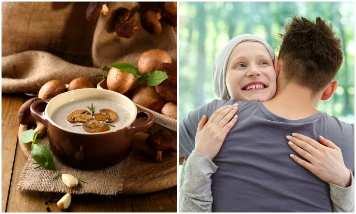 13 aliments contre le cancer selon la science – le 10e tue les cellules tumorales sans endommager les cellules saines