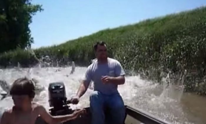 Une vidéo montre une attaque de carpes asiatiques alors que le risque d&rsquo;envahissement du poisson aux États-Unis fait l&rsquo;objet de débats