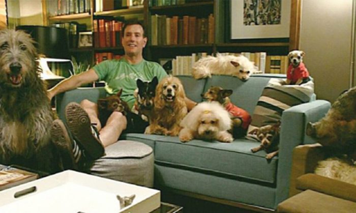 Un homme visite des refuges pour demander des chiens dont personne ne veut et finit par adopter 10 chiens âgés