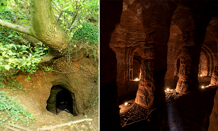 Un terrier de lapin dans le champ d&rsquo;un fermier mène à un mystérieux réseau de grottes