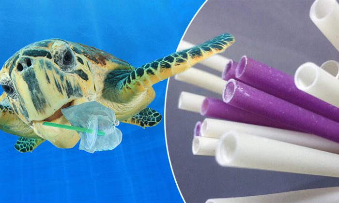 Une entreprise vietnamienne fabrique des pailles comestibles en farine de riz afin de sauver l&rsquo;environnement