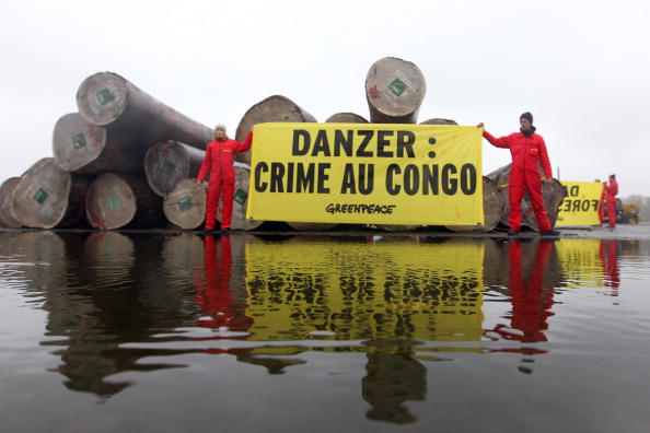 Conflit forestier en RDC : procès en appel des policiers et soldats pour violences