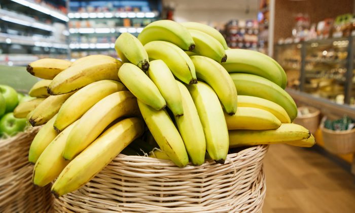 Une vedette végétalienne enceinte qui mangeait 20 bananes par jour rejette les critiques la décrivant comme «narcissique», «irresponsable»