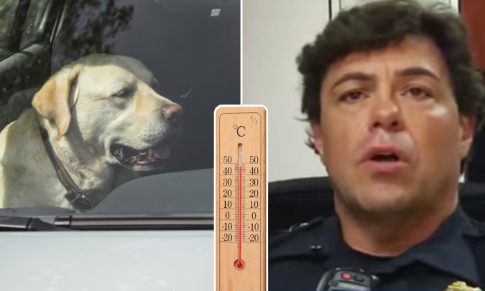 Un policier fait asseoir une femme dans une voiture chaude après qu&rsquo;elle a enfermé un chien à l&rsquo;intérieur sans ventilation