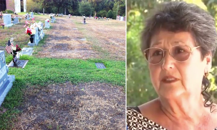 Une mère voit que l’herbe est verte sur la tombe de son fils, un soldat tombé au champ d’honneur. Puis, elle fond en larmes en apprenant la vérité