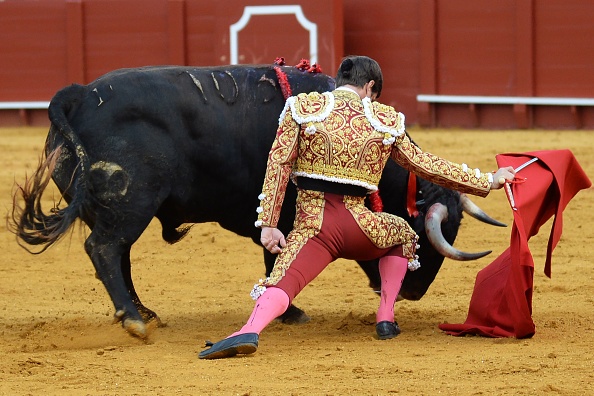 France: rejet d&rsquo;une demande de taxation réduite pour la corrida