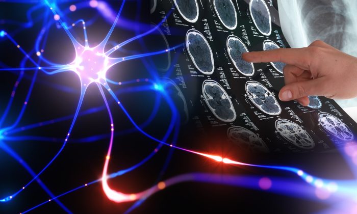 Selon des chercheurs en neurosciences, nous sommes toujours «vivants» après la mort